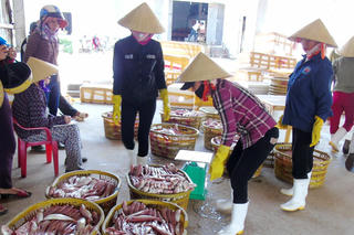 Niềm vui ngư dân được mùa