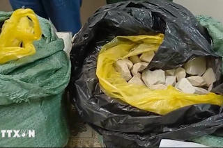 Ban hành Danh mục quy định về 9 loại hàng nguy hiểm