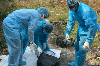 Đồng Nai và Cà Mau ghi nhận trường hợp bị chó dại cắn