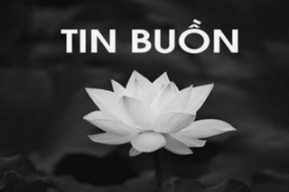 TIN BUỒN