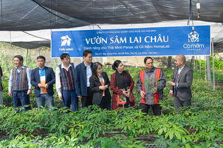 Để sâm Việt Nam vươn tầm thế giới