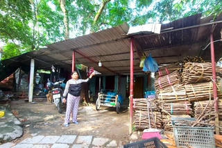 Dự án Đại học Huế 26 năm vẫn ngổn ngang