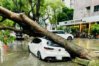 Chủ tịch Hà Nội khuyến cáo người dân không ra khỏi nhà trong mưa bão