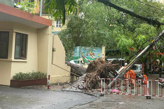 Nhiều tỉnh, thành tiếp tục cho học sinh nghỉ học sau bão