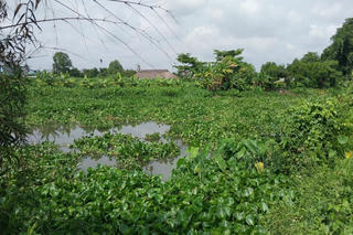 Dấu hiệu vi phạm tại dự án duy tu nạo vét rạch Cầu Mênh - Bến Cát (TP HCM): Cần sớm công khai kết quả kiểm tra xác minh