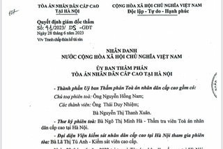 Xử lại vụ án thửa đất bị thu hồi sổ đỏ khi đang chia thừa kế