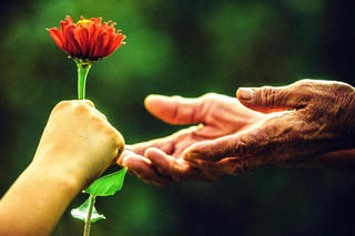 Lòng tử tế – Tài sản vô giá