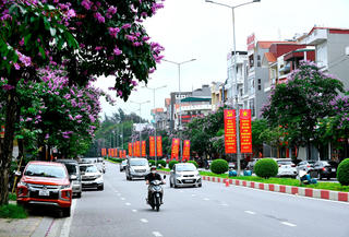 Thành phố của bóng mát