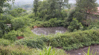 Phạt 2 cơ sở chăn nuôi vì vi phạm trong lĩnh vực bảo vệ môi trường 