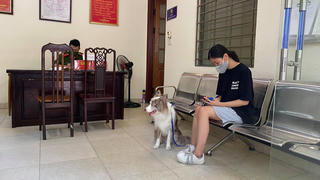 Xử phạt trường hợp "dắt chó đi dạo" trong ngày đầu Hà Nội thực hiện Chỉ thị 16