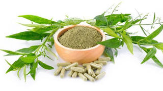 Đưa 12 loại thuốc cổ truyền vào danh mục hỗ trợ điều trị COVID-19