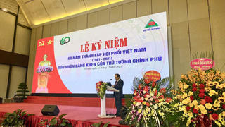 Hội Phổi Việt Nam nhận Bằng khen của Thủ tướng