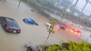 Hơn 40 căn nhà hư hỏng, gần 1.000 ha lúa và hoa màu thiệt hại do mưa lớn