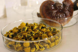 Bí quyết để khỏe mạnh dành cho người bận rộn 