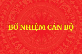 Quyết định mới về nhân sự của Thủ tướng