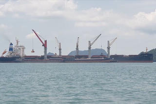 Quảng Ninh 'siết' quản lý tuyến biển, cảng, bến thủy nội địa phòng COVID-19