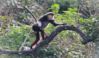 Đà Nẵng phát động thiết kế sản phẩm lưu niệm APEC 2017