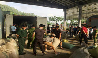 Đà Nẵng: Bắt giữ 10 tấn ngà voi, vẩy tê tê nhập lậu vào Cảng Tiên Sa
