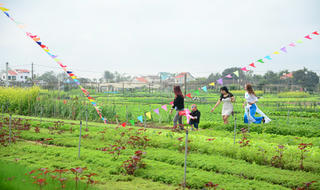 Quảng Nam đón du khách quốc tế thứ 3,8 triệu năm 2018