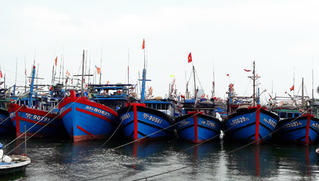 Đà Nẵng cấm tàu cá hoạt động ở vùng biển nguy hiểm do áp thấp nhiệt đới