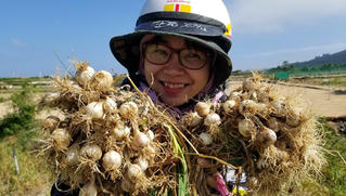 Lý Sơn tháng 3 trắng màu tỏi