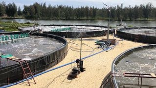 Tích cực tuyên truyền tai nạn điện trong nhân dân