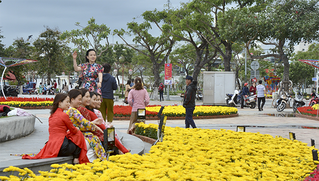 Đà Nẵng: Rực rỡ đường hoa và ngộ nghĩnh linh vật trâu trang trí 