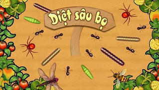 Độc đáo Tết Đoan Ngọ của người Việt