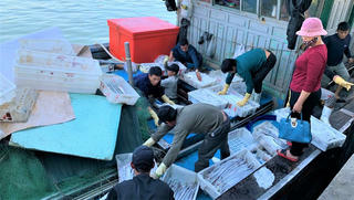 Ngư dân miền Trung trúng đậm "lộc biển" những ngày cuối năm