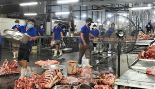 Xả nước thải vượt quy chuẩn ra môi trường, lò mổ lớn nhất Đà Nẵng bị phạt 183 triệu đồng