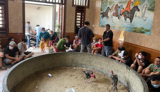 Đà Nẵng: Đôi vợ chồng dùng phòng khách mở sới gà cho hàng chục con bạc