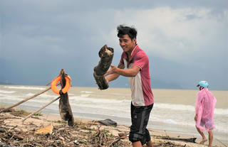 Sau mưa lớn, người Đà Nẵng đổ ra biển nhặt gỗ bán kiếm tiền triệu