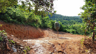 San ủi rừng Hải Vân trái phép, doanh nghiệp bị phạt 50 triệu đồng