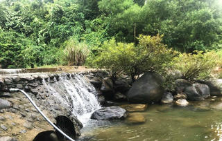 Đà Nẵng tạm dừng hoạt động khu du lịch có du khách nhỏ tuổi bị đuối nước 