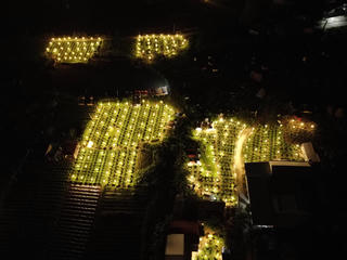 'Thủ phủ' hoa cúc Tết Quảng Ngãi rực sáng về đêm