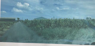 Đất ơi bao giờ hoàn chủ?