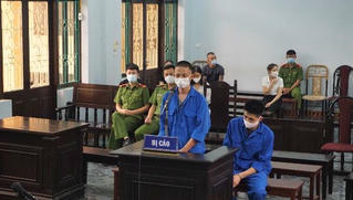Tàng trữ trái phép vảy tê tê châu Phi đổi lấy 63 tháng tù