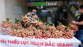 Triển khai 5 điểm kết nối tiêu thụ nông sản an toàn cho nông dân vùng dịch COVID-19