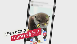 Bán rái cá làm thú cưng, nam thanh niên lĩnh án tù