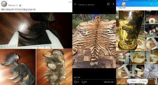 Buôn bán trên mạng 'ảo' bị phạt thật