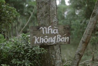 Đa dạng phim chiếu Tết 2022