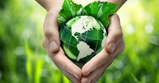  “Màn ảnh xanh” và thông điệp bảo vệ môi trường