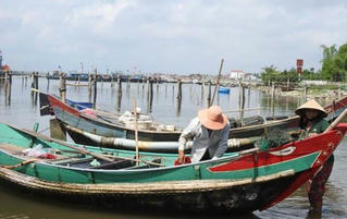 Sẽ triển khai chương trình nhận đỡ đầu cho con ngư dân khó khăn
