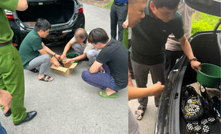 "Chủ gấu" đầu tiên tại Phúc Thọ bị kết án vì buôn bán mật gấu 