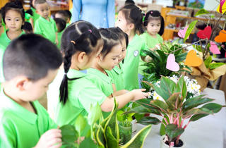 Trường học xanh vì một Hà Nội xanh