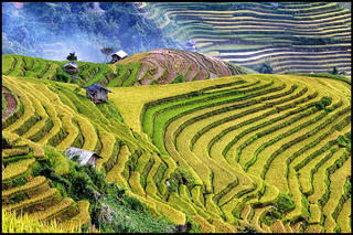 Việt Nam lọt top 10 điểm đến du lịch rẻ nhất châu Á