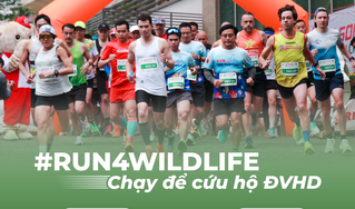 Giải chạy lan tỏa thông điệp cứu hộ động vật hoang dã
