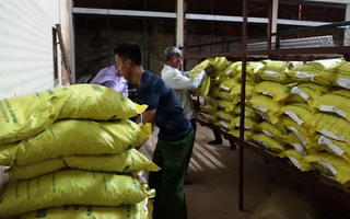 Gắn mác 'xịn' cho hàng chục tấn ngô, lạc kém chất lượng bán cho nông dân làm giống