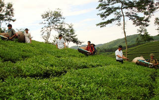 Nhiều hộ nông dân xóa nghèo từ vốn vay ngân hàng chính sách