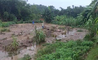 Tuyên Quang: Lũ dâng cao, cuốn trôi 3 người trong một gia đình